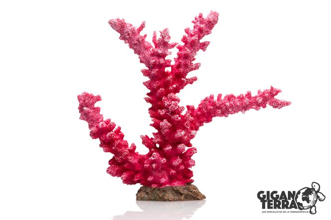 Hovedbilde Rosa korall 23x7x20,5cm