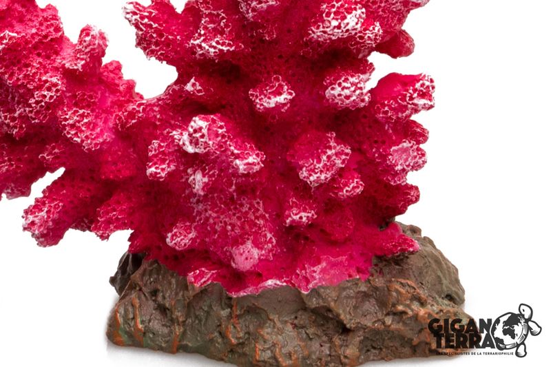 Rosa korall 23x7x20,5cm