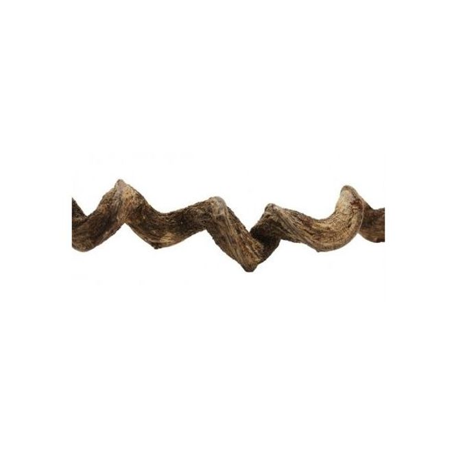 Hovedbilde Premium Vine ca 95cm