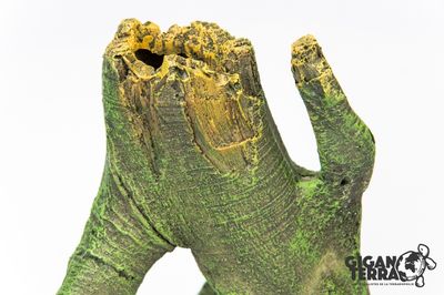Hovedbilde Gigan terra Mangrove - 24 x 20 x 33 cm 