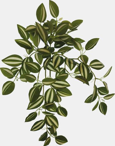 Hovedbilde REPTO PLANT HANGING GREEN/WHITE 46 CM