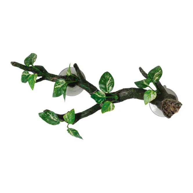 Hovedbilde RS Branch with Flora Sucker Mount 25cm