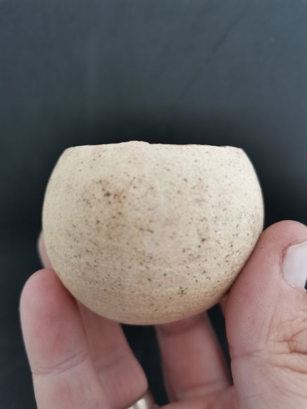 Bell cup 5-7cm