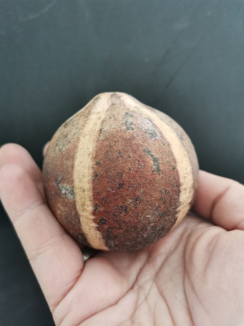 Hovedbilde Bellani gresskar 4-6cm