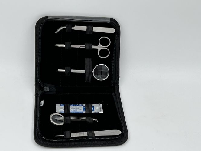Hovedbilde Egg hatcing kit