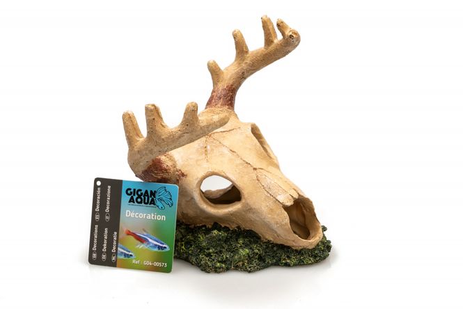 Hovedbilde Deer 14x15x15,8cm