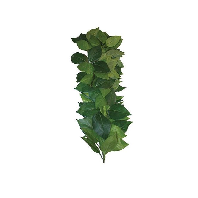 Hovedbilde Ficus silk small