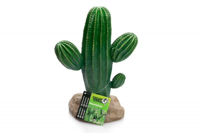 Cactus  17x13x24,5cm