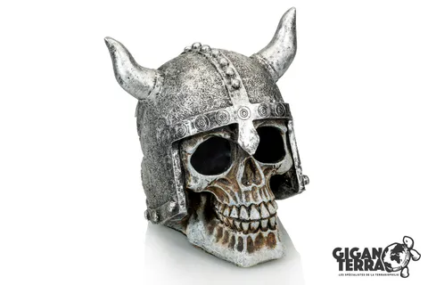 Hovedbilde Hodeskalle "viking" 13,5x13x13,5cm