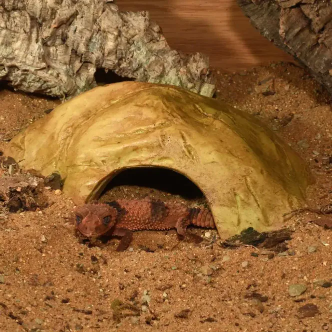 Hovedbilde HabiStat Sandstone Reptile Cave S  - 17x9x5cm