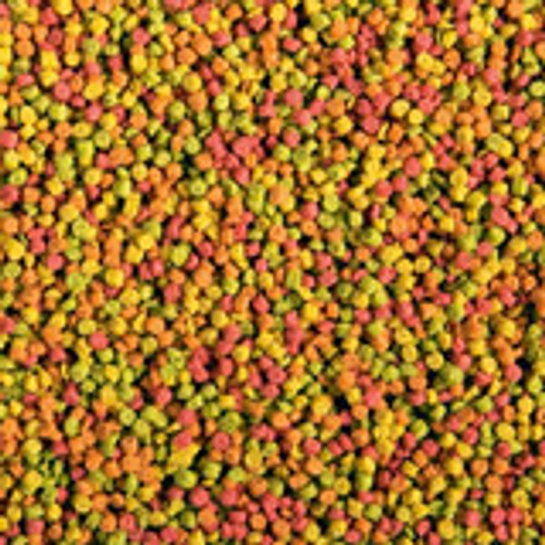 Zupreem fruitblend undulat 1kg