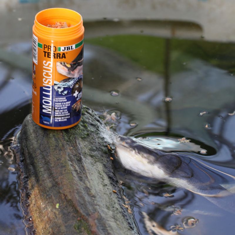 JBL PROTERRA MOLLUSCUS 1000 ml