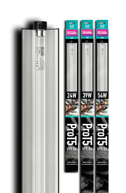 Hovedbilde Arcadia Pro T5 uvb kit 6% 54w