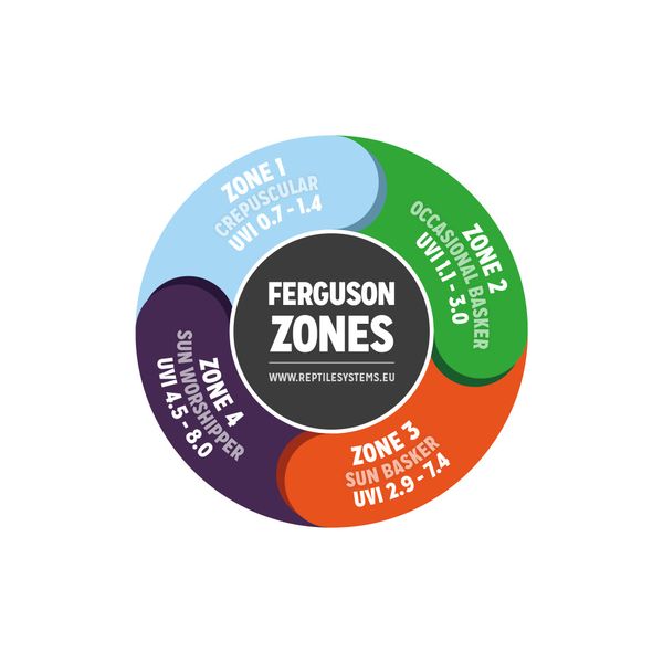 Reptile system T5 zone 3 8w