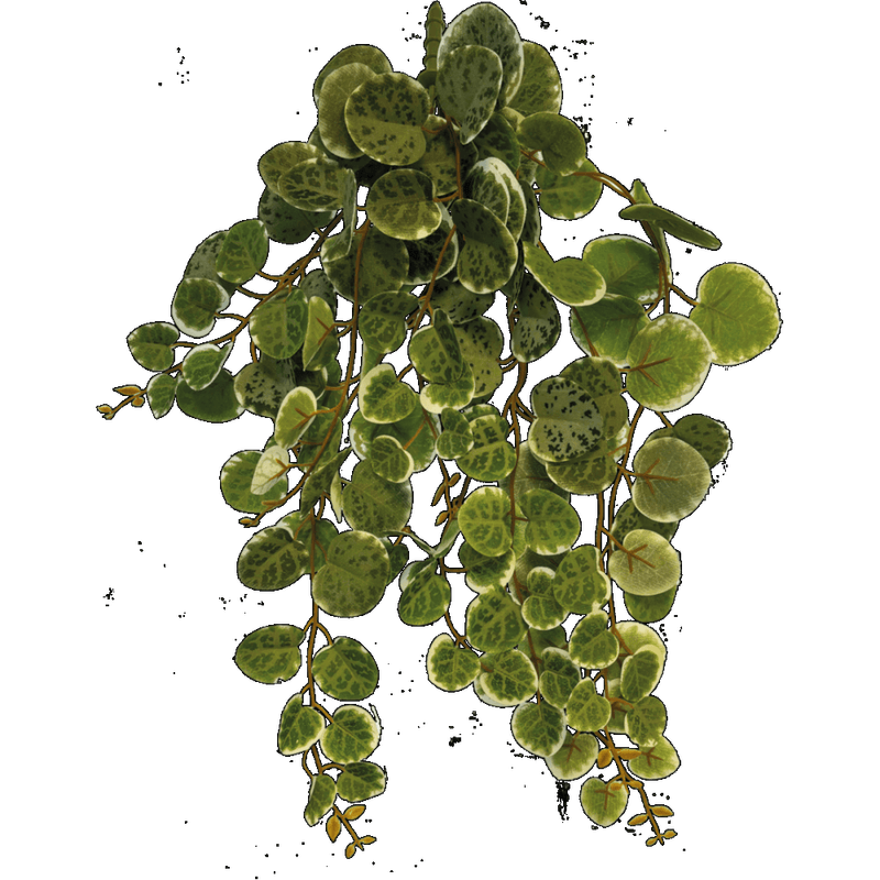 Repto plant hanging- round-leaf– 46 cm