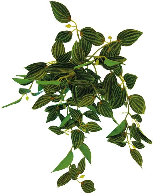 Hovedbilde REPTO PLANT HANGING GREEN 46 CM