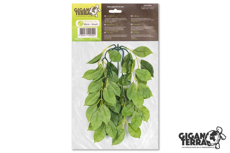 Gigan ficus 30cm