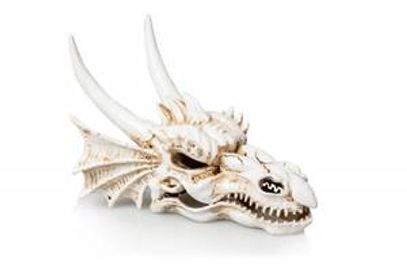 Dragon S  -00721
