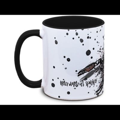 Hovedbilde KAFFEKOPP SKORPION / HETEROMETRUS SPINIFER