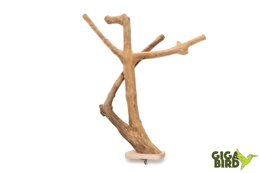 Java Wood Double Perch - 30 cm