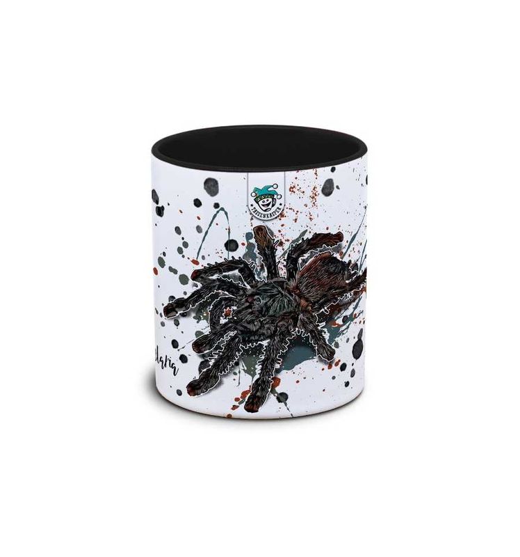 Kaffekopp tarantell Avicularia avicularia