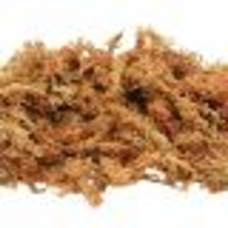 Repto sphagnum moss 100g 