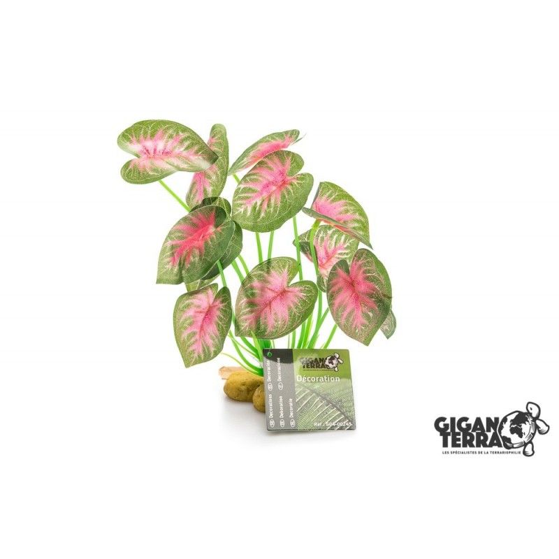 Rosa sur pied 21cm - 00243