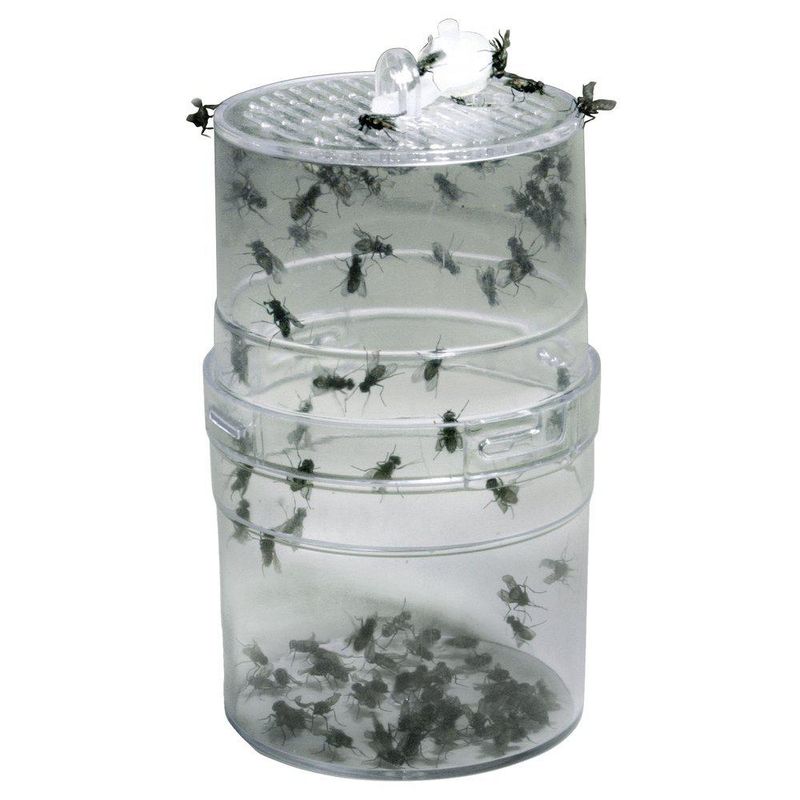 Lucky reptile fly feeder