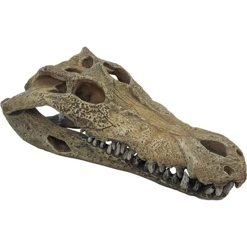 Repto deco crocodile 26x14x9 cm