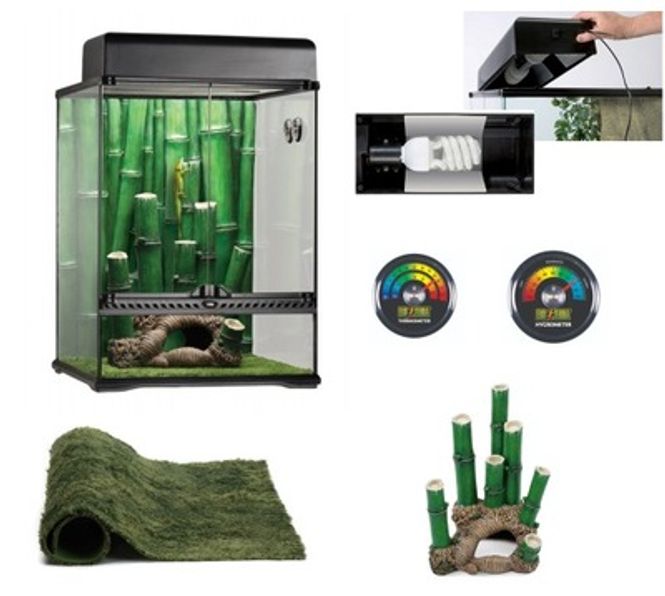 Hovedbilde Exo Terra Bamboo Forest 30x30x45cm med armatur og ...