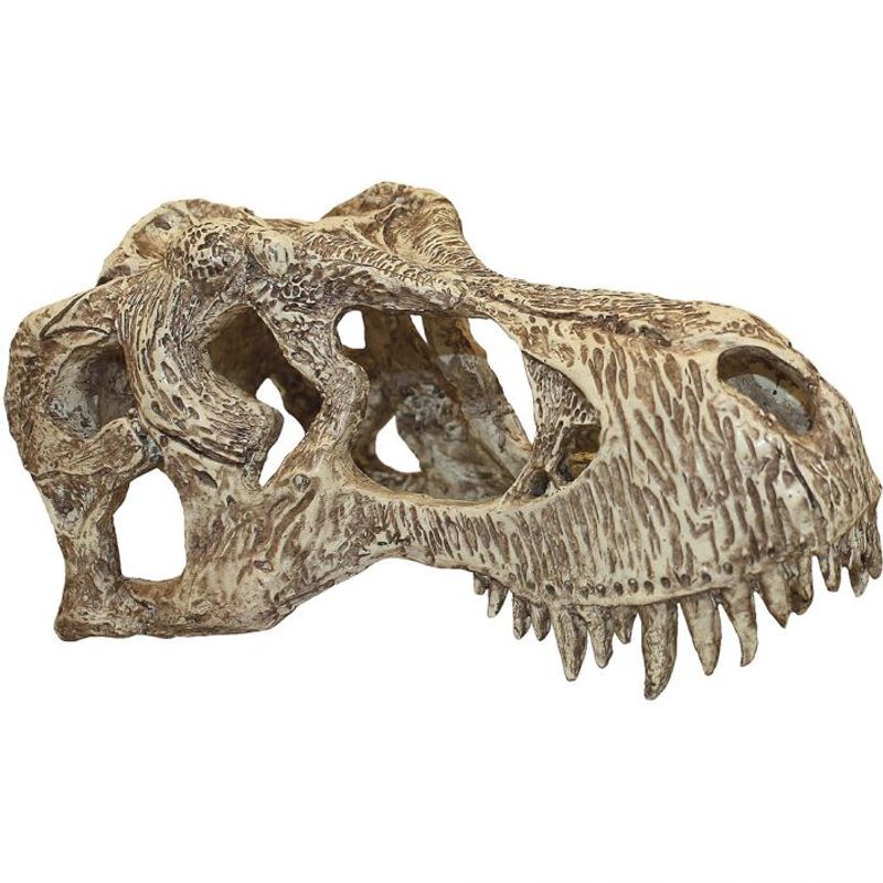 Komodo T-rex S