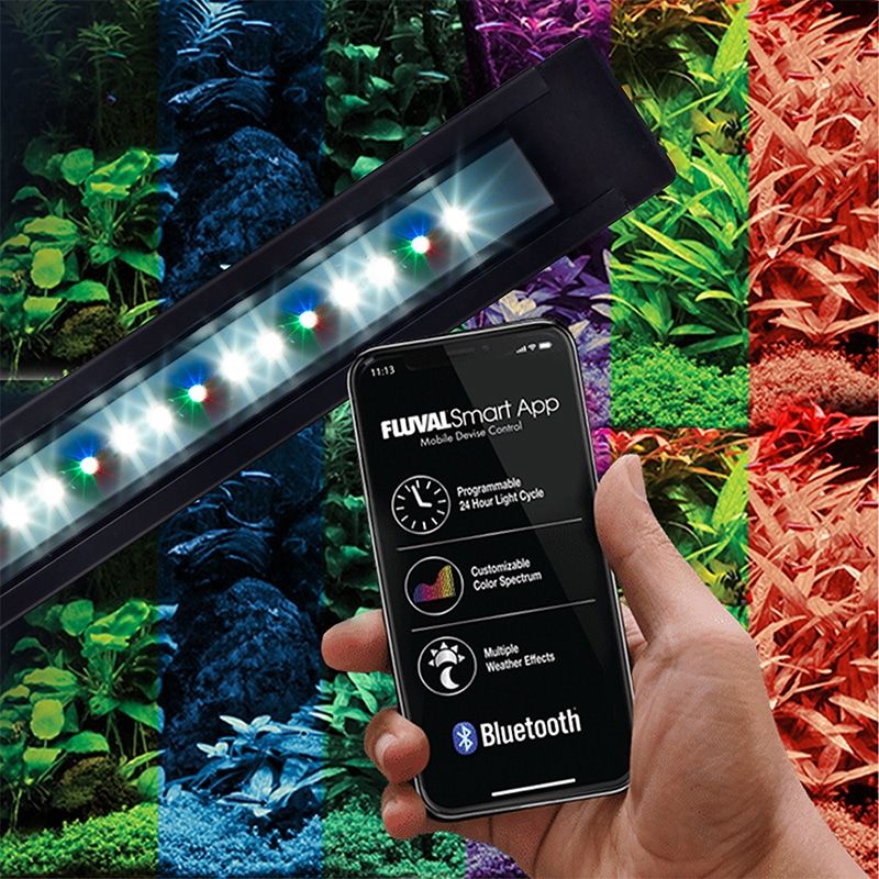 Fluval Flex akvarium sett 123liter