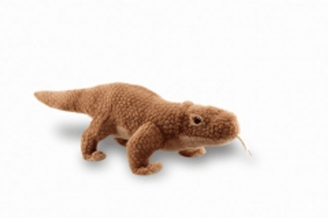 Hovedbilde Komodo varan