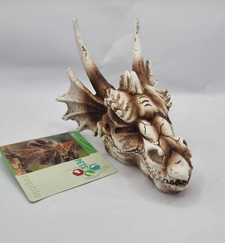 P2W Drage 12,5x9x8,5cm