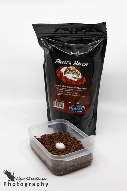 Hovedbilde Pangea Hatch 907g