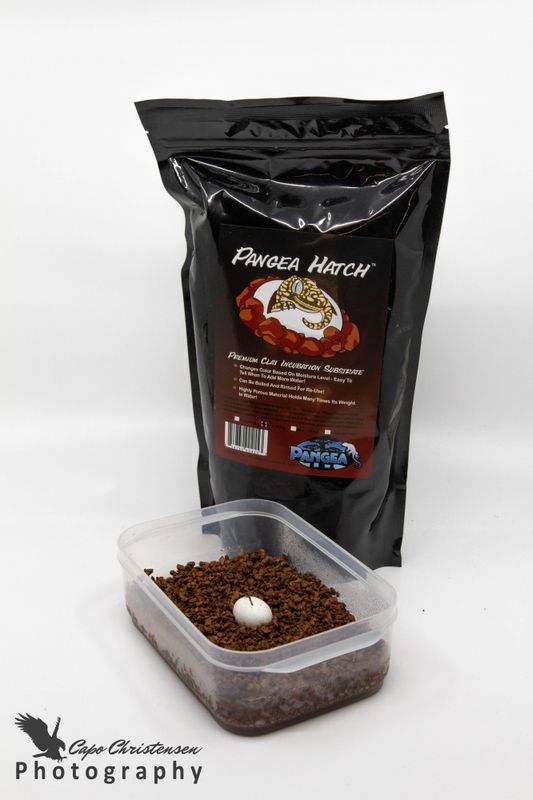 Pangea Hatch 907g