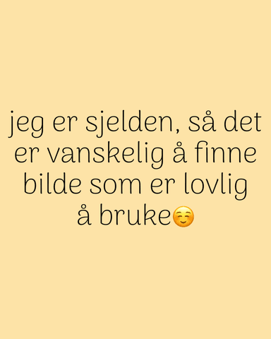 Hovedbilde Orphnaecus sp. Rizal blue slings