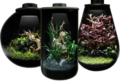 Hovedbilde  BIOART CYLINDER 285 BLACK