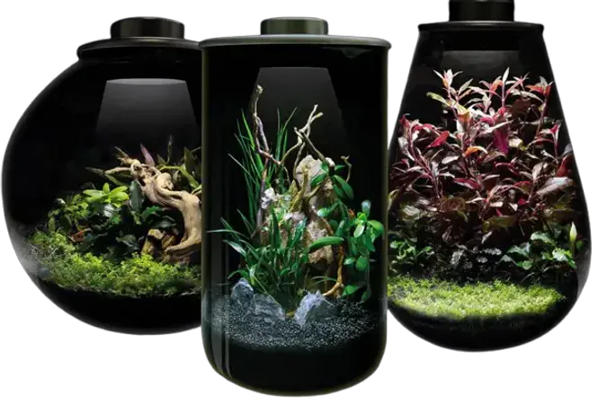 Hovedbilde  BIOART CYLINDER 285 BLACK