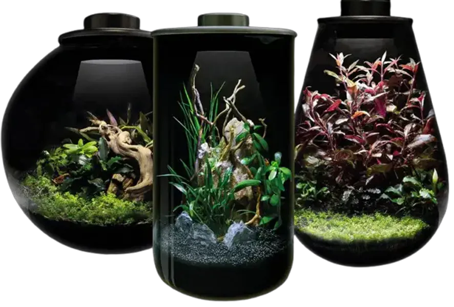  BIOART CYLINDER 285 BLACK