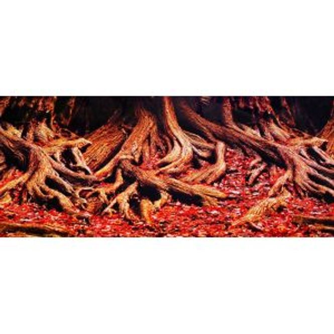 Hovedbilde Reptiles planet Amazon bakgrunn 40cm høy - 10cm
