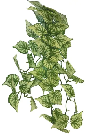 Hovedbilde REPTO PLANT HANGING HEDERA 65 CM