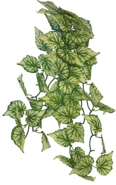 REPTO PLANT HANGING HEDERA 65 CM